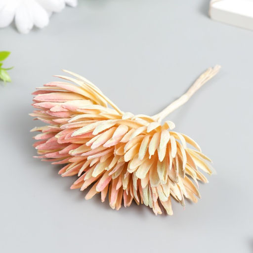 Декор для творчества «Игольчатая астра» 1 букет=6 цветков карамельный 4×13 см