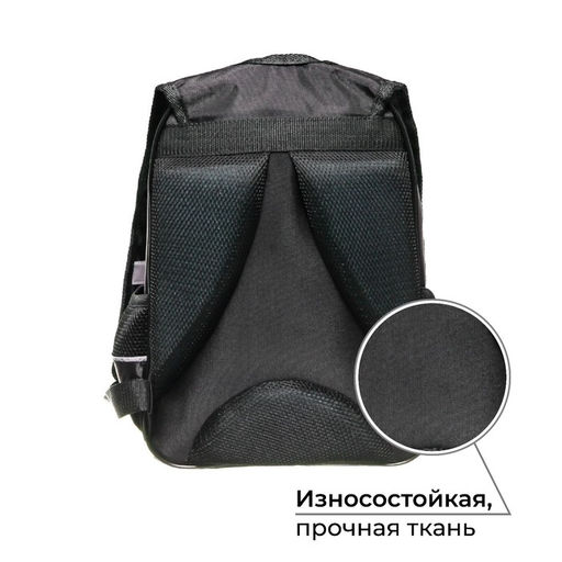 Рюкзак школьный, эргономичная спинка, 37×26×13 см «Крутой кот»