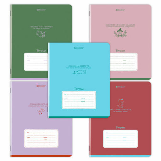 Тетрадь 24 л. BRAUBERG клетка, обложка картон Цена за 5шт.