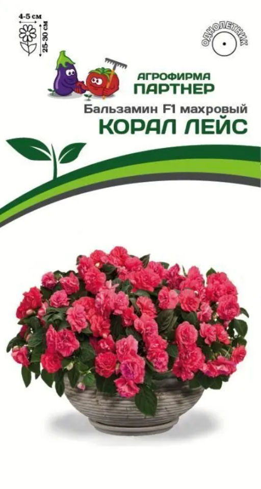 Бальзамин махровый Корал Лейс