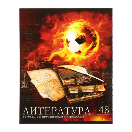 Набор предметных тетрадей 48 листов Calligrata Футбол, 10 предметов  фото 17