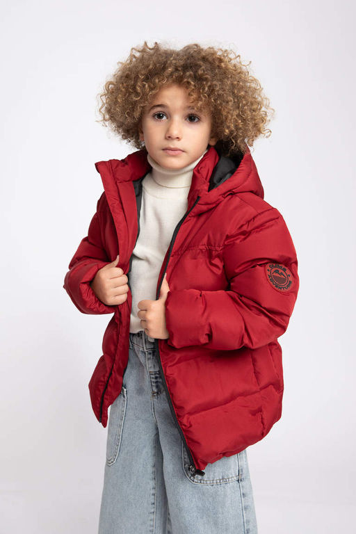 Водоотталкивающая куртка-пуховик с капюшоном для мальчиков - Defacto фото 7