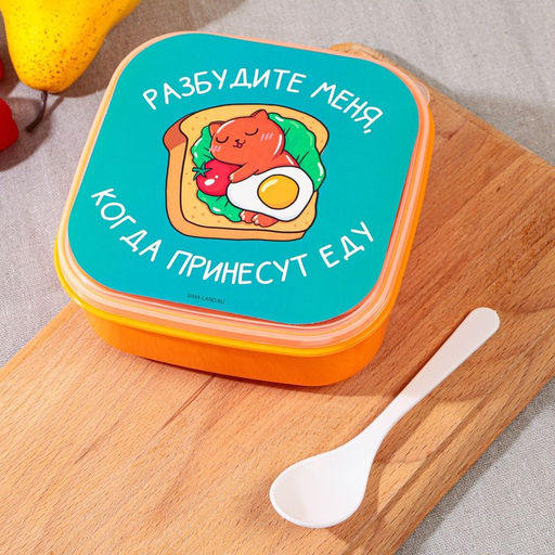 Ланч - бокс квадратный с секциями и ложкой Разбудите меня, 14,5 х 6 см