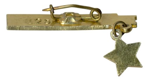 Значок Севастополь