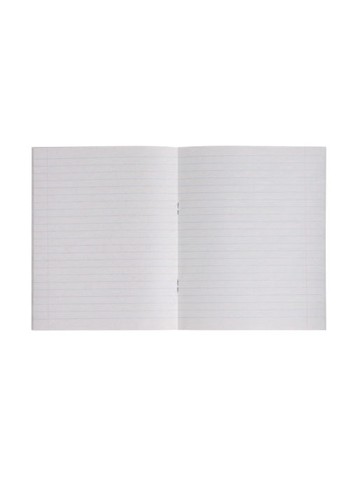 Комплект тетрадей из 4 штук, 48 листов в линейку «Дикие кошки», серые листы