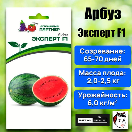 Арбуз Эксперт - Партнер фото 6