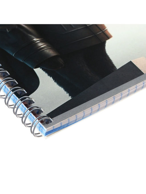 Цена за 4 шт. Тетрадь 48 листов в клетку на гребне, Calligrata «Чёрный Кот», МИКС