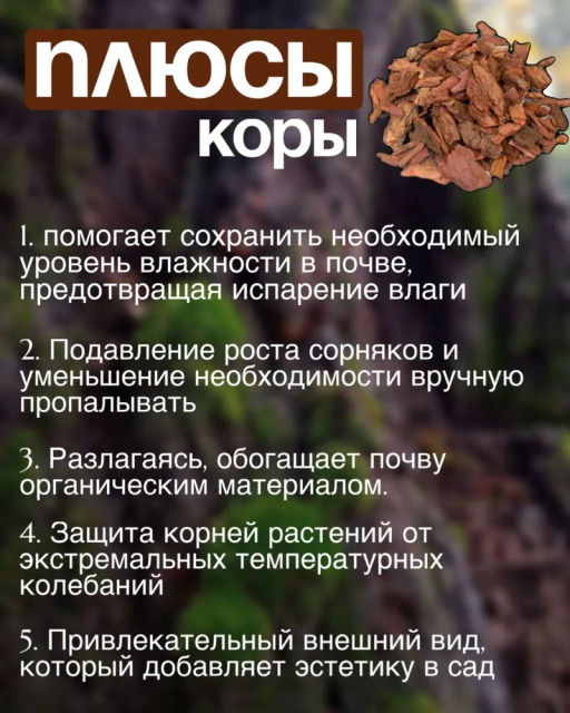 Кора сибирской лиственницы крупная 5-10см (60л) - Борресурсы фото 5