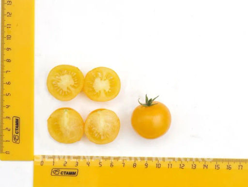 Томат Балконное Чудо Жёлтый - Партнер фото 7