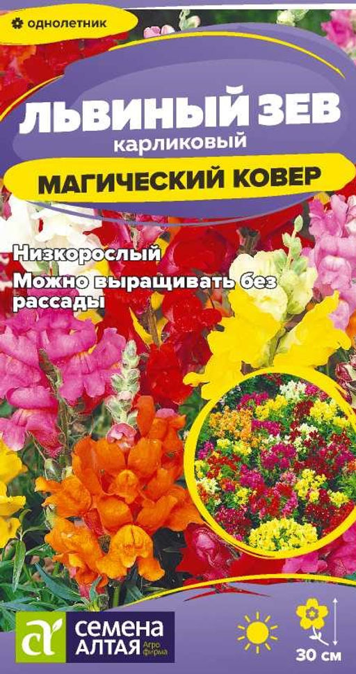 Цветы Львиный зев Магический Ковер/Сем Алт/цп 0,1 гр. (2029 / 42442)