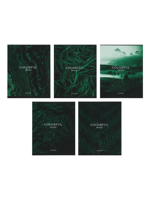 Набор тетрадей, 48 листов в клетку, Calligrata «Изумруд», серые листы, 5 штук