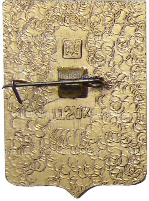 Значок Оргеев