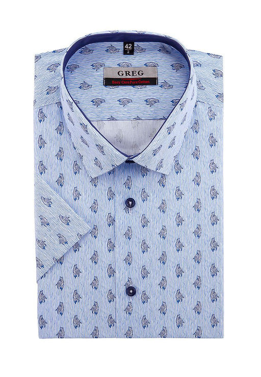 Сорочка мужская короткий рукав GREG 223/201/202/ZS/C/1  фото 2