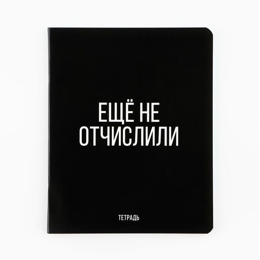 Цена за 3 шт. Тетрадь в клетку, 48 л., А5, на скрепке, блок №1 Шрифтовые МИКС - Artfox study фото 10
