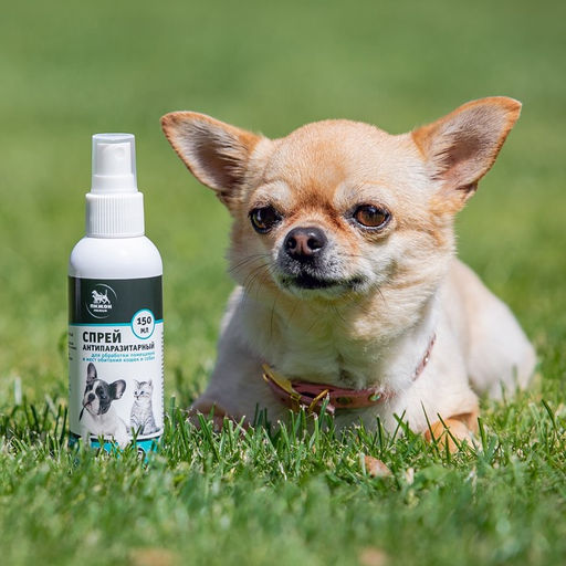 Биоспрей от паразитов Пижон Premium для обработки помещений и мест обитания, 150 мл  фото 4