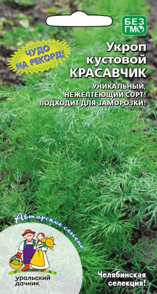 Укроп КРАСАВЧИК Уникальный! Нежелтеющий сорт! Подходит для заморозки!