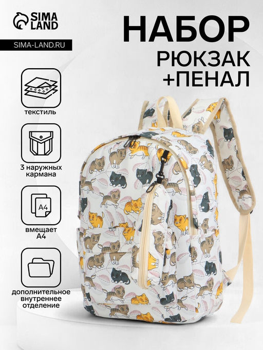 Набор: рюкзак школьный и пенал, с карманами, с принтом, размер 29?12?41 см, розовый