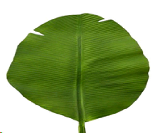 Лист искусственный Пальма 95 см / N715-764 /уп 50/300/ - ГалеонТрейд фото 2