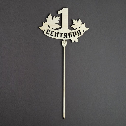 Цена за 5 шт. Топпер для торта «1 сентября», МИКС