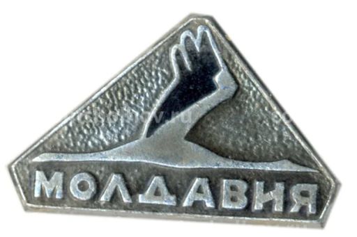 Значок Молдавия