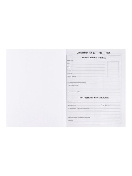 Дневник школьный для 1-11 классов, «Дино», твёрдая обложка 7БЦ, глянцевая ламинация, 40 листов