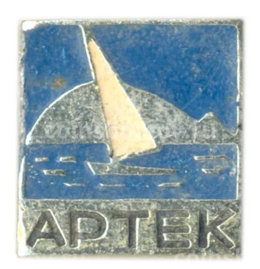 Значок Артек