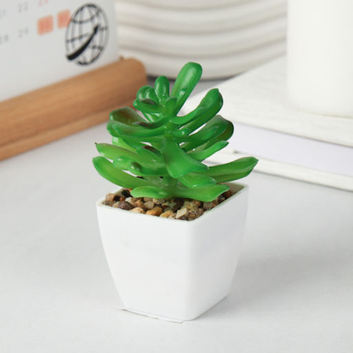 Цветочная композиция Кактус / WER-19 /уп 12/192/ микс - Галеонтрейд фото 24