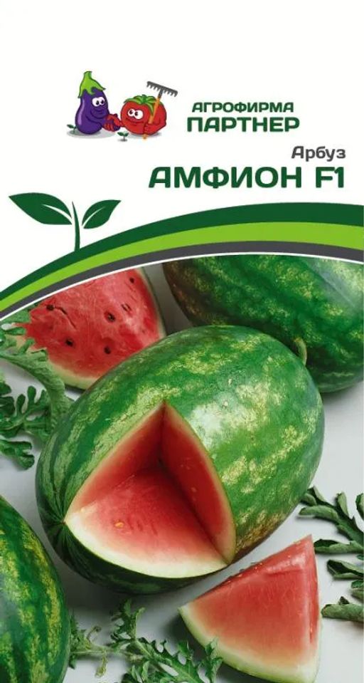 Арбуз Амфион