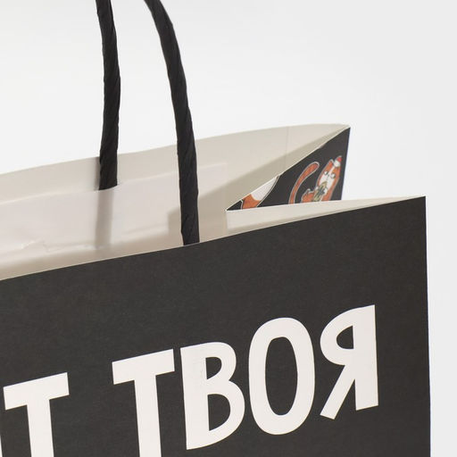 Пакет подарочный новогодний «Рожа», 22 х 22 х 11 см