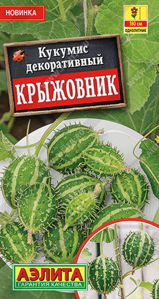 СРОК РЕАЛИЗАЦИИ ИСТЕК. СКИДКА 50%. Кукумис декоративный Крыжовник ---