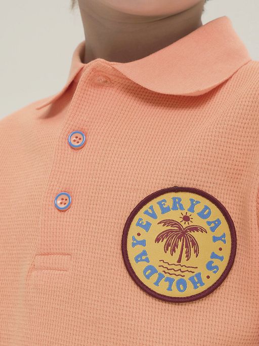 Pelican BFTP3321/1 футболка для мальчиков  фото 3