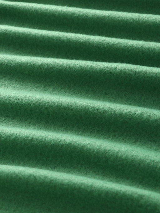 Плед флисовый «Экономь и Я», 150×180 см, 160 г/м², зелёный