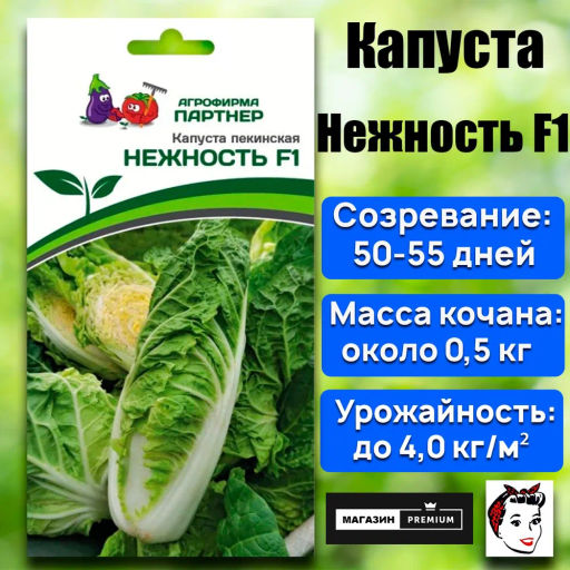 Капуста пекинская Нежность - Партнер фото 8