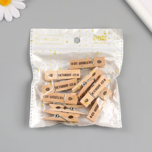 Декор для творчества дерево «Прищепка - Настоящий лев», набор 10 шт.