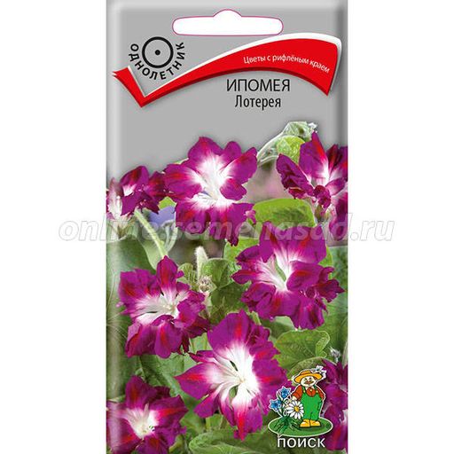 Ипомея Лотерея (ЦВ) ("1) 0,3гр.