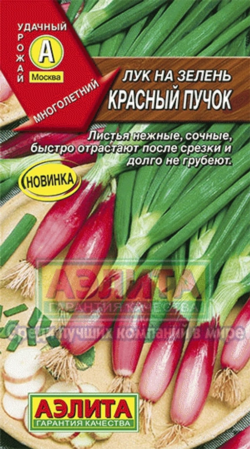 Лук на зелень Красный пучок 0,3г (Аэлита)