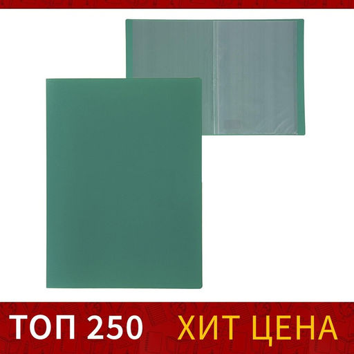 Цена за 3 шт. Папка с 10 вкладышами А4, 500 мкм, Calligrata, текстура песок, зелёная