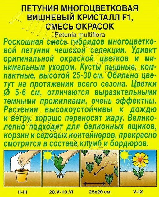 Петуния Вишневый кристалл F1, смесь сортов 7шт. (Аэлита)
