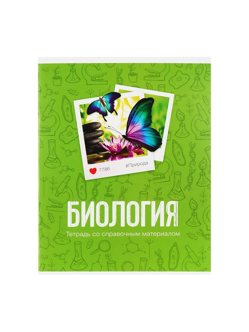 Набор предметных тетрадей 48 листов Calligrata «Фото», 10 предметов