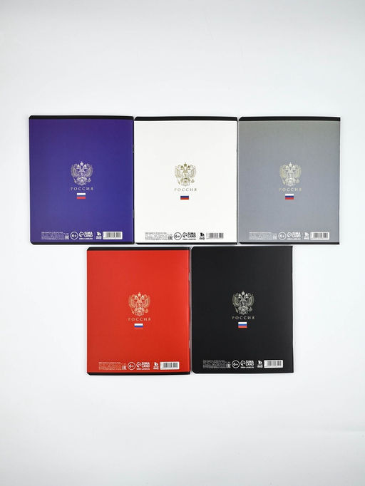 Тетради в клетку, 48 л., набор из 5 шт., блок №1 Россия - Artfox study фото 4