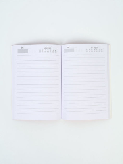 Подарочный набор новогодний в портфеле Волшебного нового года, ежедневник А5, магнитные закладки и ручка