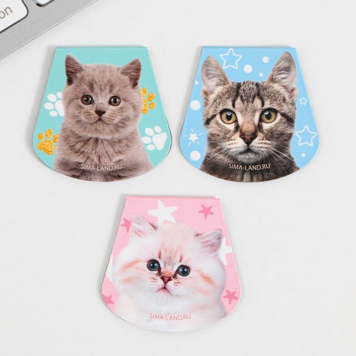 Закладки магнитные для книг, 3 шт. Котики