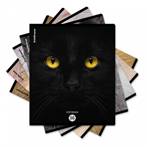 Цена за 5 шт. Тетрадь общая ученическая ErichKrause Cats, 96 листов, клетка, матовая ламинация_MIX-PACK
