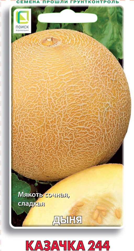 Дыня Казачка 244 (ЦВ) 15шт. - Поиск фото 2