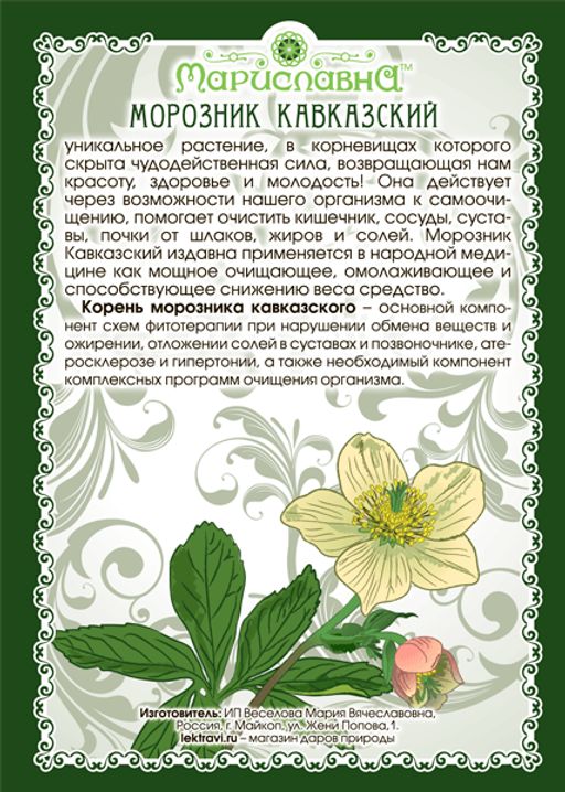 Морозник Кавказский (цельный корень) - Мариславна фото 3