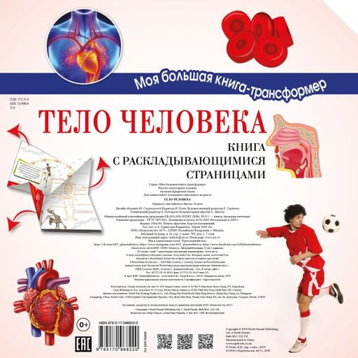 Тело человека - Аст фото 2