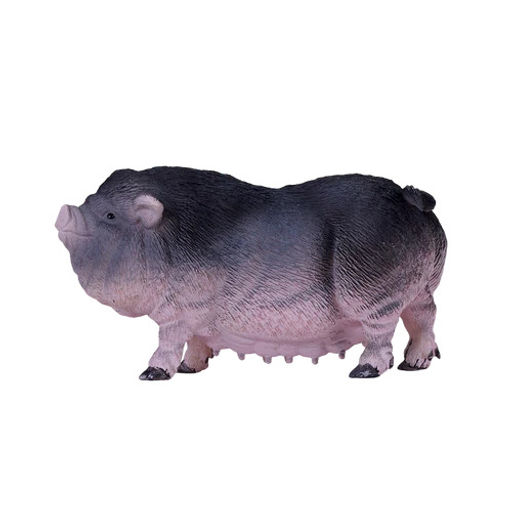 Вислобрюхая свинья