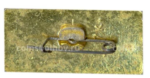 Значок Донецк