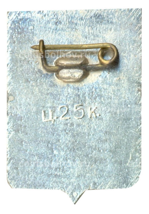 Значок Боровичи