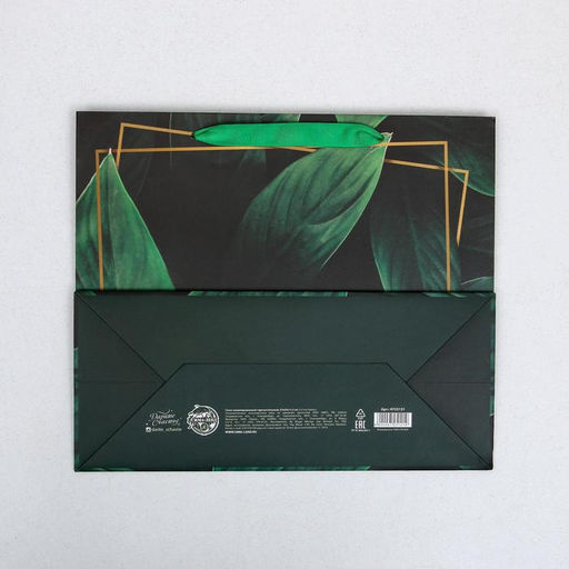 Цена за 2 шт. Пакет подарочный ламинированный, упаковка, «Present for you», ML 27×23×11.5 см